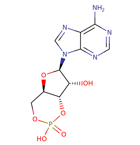 60-92-4, 環磷腺苷, Adenosine Cyclophosphate, CAS:60-92-4